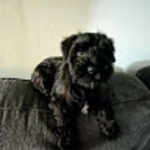 Meet your Posher, Theresa